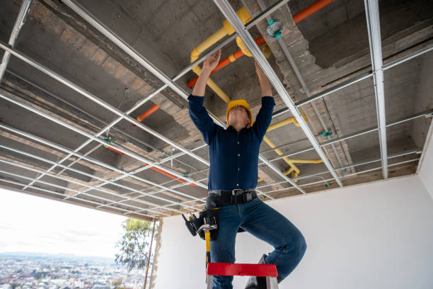 Best Leak Detection Services  in Chatfield, MN