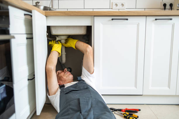 Best Septic Systems  in Chatfield, MN